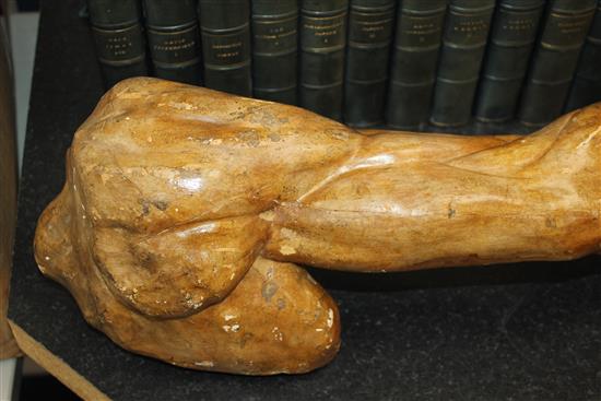 A plaster anatomical arm, 24.5in.